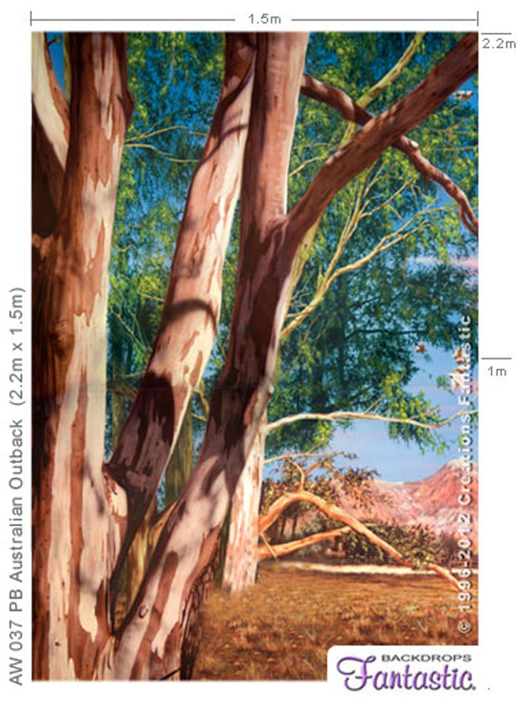 Photographers Backgrounds For Sale - Backdrops Fantastic