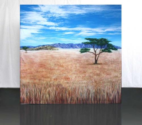 African-Savannah-1