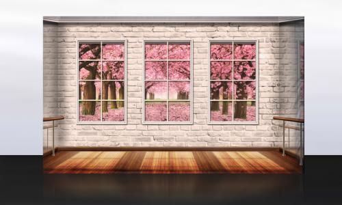 Dance-Studio-Partywall