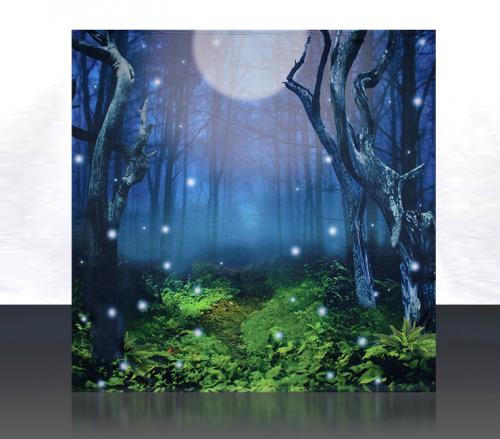Enchanted-Forest-Photowall624567e6626e3