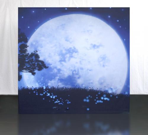 Moonlight-Photowall-1