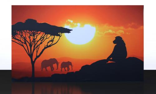 OA-SA-001-Savannah-Sunset-Partywall