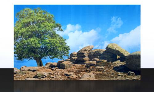 SC-SA-001-Rocky-Outcrop
