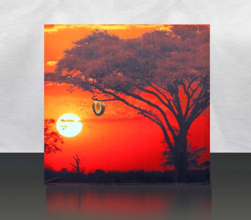 Sunset-Bees-Photowall