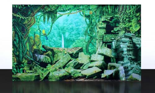 TJ-SA-001-Jungle-Ruins-Partywall