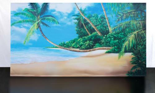 Tropical-Beach-9-Partywal-1l