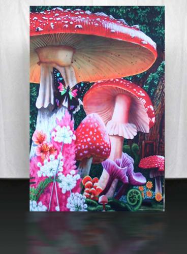 Wonderland-Mini-Photowall-1