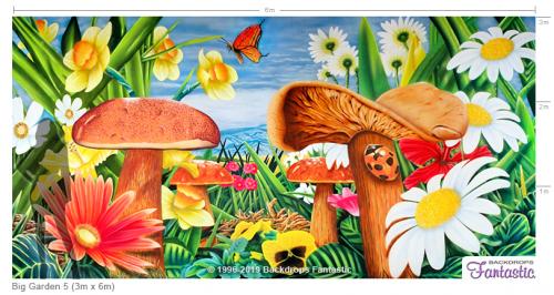 Big-Garden-5-3x6