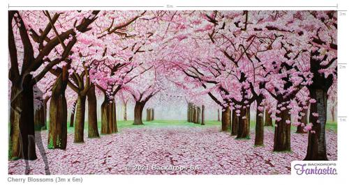 Cherry-Blossoms-3x6