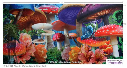 FY-SA-001-Alice-In-Wonderland-2