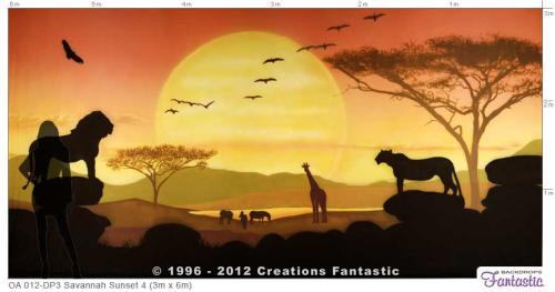 OA-012-Savannah-Sunset-4